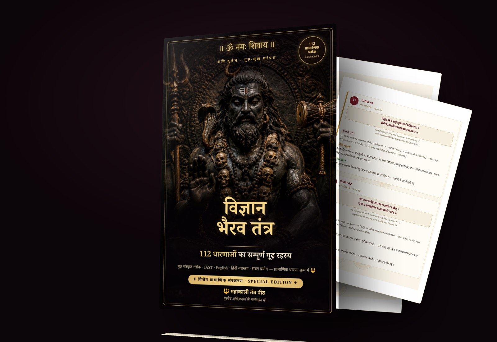 विज्ञान भैरव तंत्र विशेष संस्करण — 3D book mockup, cover व भीतर के पृष्ठ